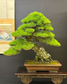 a bonsai tree sitting on top of a wooden table in front of a painting