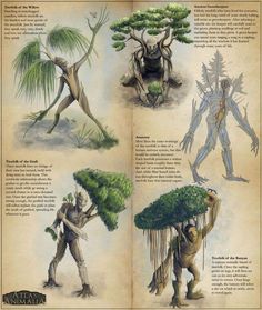 an open book with pictures of different types of trees