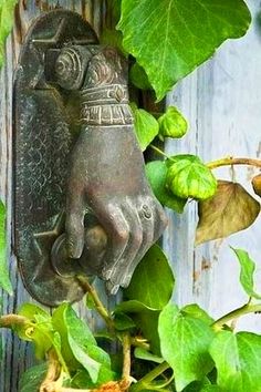 a close up of a metal door handle on a wooden door with green leaves around it