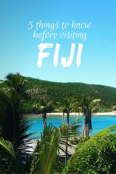 palm trees and blue water with the words 5 things to know before visiting fui