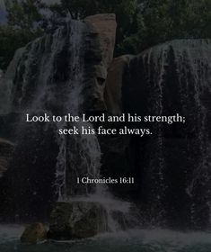 Look to the Lord and His strength;
seek His face always.

1 Chronicles 16:11

Bible on Instagram