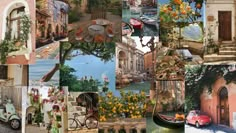 a collage of pictures with flowers, buildings and boats in the water at different times of day