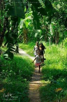 two people walking down a dirt path in the woods with green plants on either side