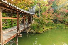 a wooden bridge over a body of water surrounded by trees in the fall colors and foliage