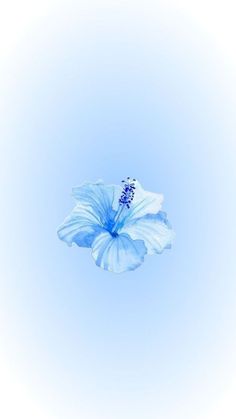 a blue flower is floating in the air