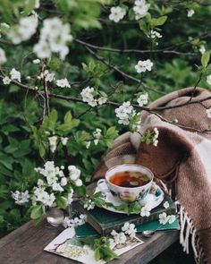 a cup of tea sits on a table in front of some white flowers and a blanket