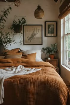 a bed sitting next to a window in a bedroom under a hanging plant and potted plants