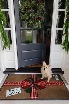 a small white dog sitting in front of a door with a christmas present on the mat