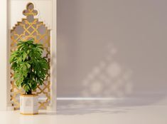 a potted plant sitting on top of a white table next to a wall mounted mirror