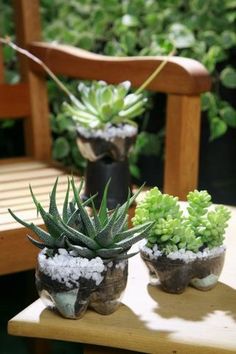 three succulents are sitting in small pots on a wooden table next to a bench