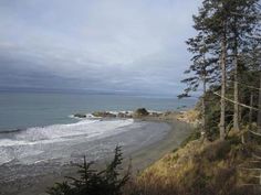 the beach is next to some pine trees and water with waves coming in from the shore