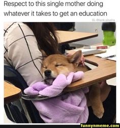 a dog laying on top of a table covered in a purple towel with the caption, respect to this single mother doing whatever it takes to get an education