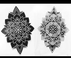 two black and white drawings of flowers on paper