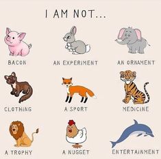 an image of animals that say i am not