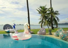 an inflatable swan is sitting on the edge of a swimming pool next to palm trees