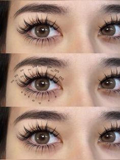 manga lash extensions with lash map Anime Eyelash Mapping, Lash Mapping Eyelash Extensions Hooded Eyes, Anime Lash Extensions Map, Anime Manga Lashes Extensions, Eyelash For Hooded Eyes, Fairy Eyelash Extensions, Manga Lash Cluster Map, Anime Lashes Extensions Map, Manga Lash Map Clusters