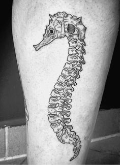 a black and white photo of a seahorse with bones on it's leg