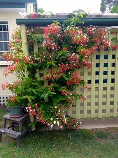 a small wooden bench sitting in front of a green fence with flowers growing on it