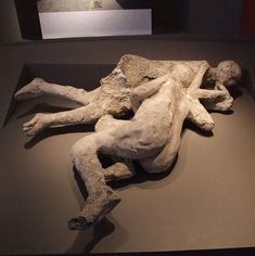 an old statue is laying on the ground in a museum display case with red walls