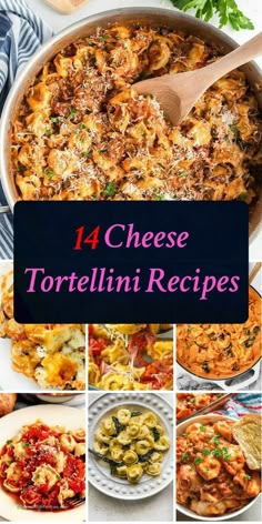 Get ready to indulge in creamy, cheesy goodness! Discover 14 mouthwatering cheese tortellini recipes that will melt your taste buds away. Easy Chicken And Tortellini Recipes, Pork Tortellini Recipes, Cheese Filled Tortellini Recipes, Easy Chicken Tortellini Recipes, Recipes Using Cheese Tortellini, Chicken And Cheese Tortellini Recipes, Tortellini Recipes Chicken, Recipes With Cheese Tortellini, Three Cheese Tortellini Recipes