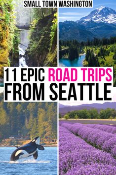 an image of the road trip from seattle to washington with text overlay that reads 1 epic road trips from seattle