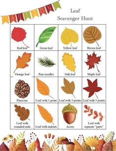 an autumn leaf scavenger hunt