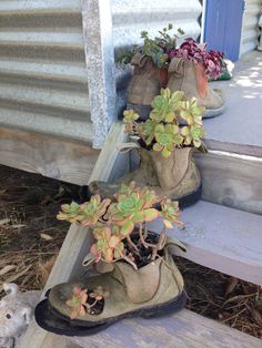 two pairs of shoes with plants growing out of them on the steps to a house