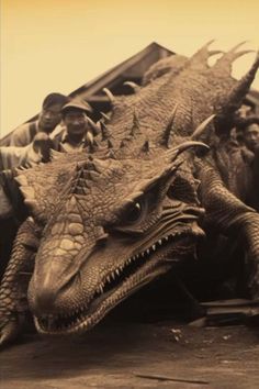 an old photo of men standing next to a large alligator