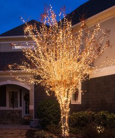 a lighted tree in front of a house