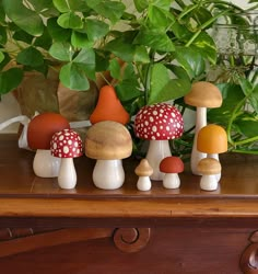 a group of mushrooms sitting on top of a wooden table next to a potted plant