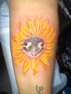 a sunflower with two cats on it's face and the letter j in the middle