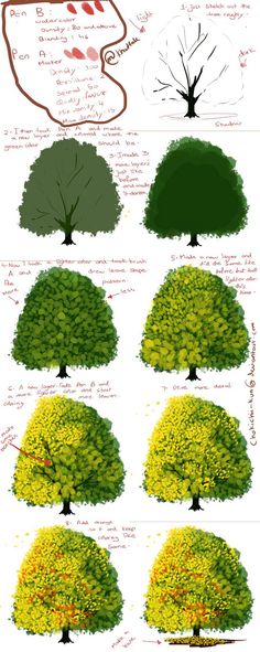 the different types of trees are shown in this diagram