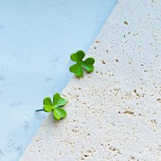 Cute Green Clover Stud Earrings Green Clover, Bunny Earrings, Nature Earrings, Clover Green, Saint Patrick's Day, Everyday Outfit, Flower Earrings, Formal Wear, St Patricks Day