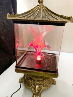 a red flower in a glass case on top of a table