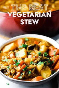 the best vegan stew in a white bowl