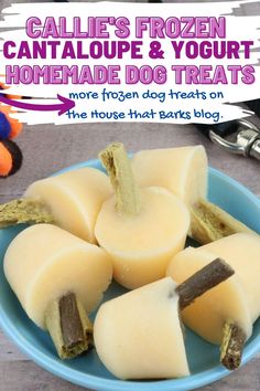 dog treat recipes, frozen dog treat recipes, healthy dog treat recipes, dog treat recipes for silicone molds, easy simply dog treat recipes Dog Popsicles, Treat For Dogs, Dog Bakery, Healthy Dog Treat Recipes, Dog Treat Recipes