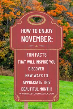 A collection of fun facts to appreciate and enjoy the month of November. Seasonal Celebration, You Smile, Trivia, Make You Smile, The Beauty, Fun Facts, Encouragement, Make It Yourself