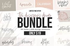 the ultimate bundle of handwritten font and calligraphy styles for your design project, including brush