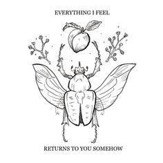 a black and white drawing of a beetle with the words, everything i feel returns to you