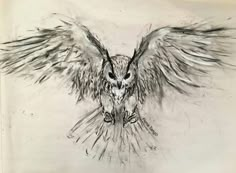 a drawing of an owl with wings spread