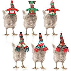 six chickens wearing sweaters and hats with christmas decorations on their heads are standing in a row