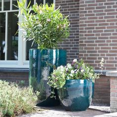 two large blue vases with plants in them sitting on the side of a building