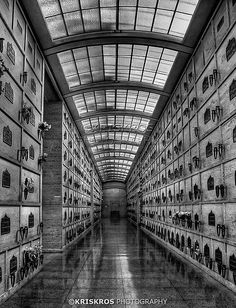 a long hallway with many pictures on the wall and ceiling in black and white photo