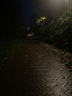 a street light shines brightly on a dark night in the park with leaves all over it