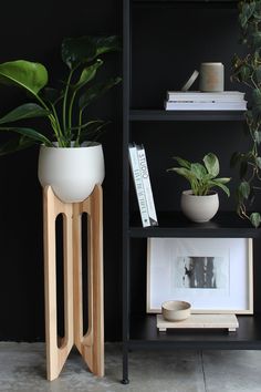 Modern Wall Planter + Pot by Braid & Wood Design Studio Wooden Pot Stand, Unique Plant Stands Indoor, Unique Plant Stands, Plant Stands Indoor, Tall Plant Stands, House Plant Pots, Wood Plant Stand, Pot Hanger, Plant Stand Indoor