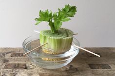 there is a celery root in a bowl with sticks sticking out of it