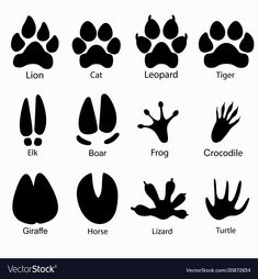 the different types of animals and their tracks in black on white stock photo, royalty