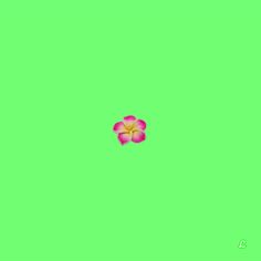 a pink flower floating on top of a green screen