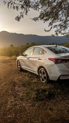 a white car parked on top of a grass covered field next to a large tree