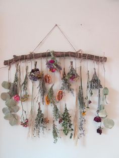 a bunch of dried flowers hanging on a wall